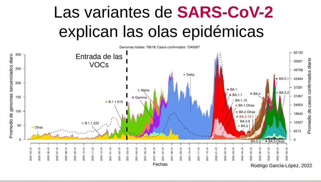 La evolución de las variantes en México.