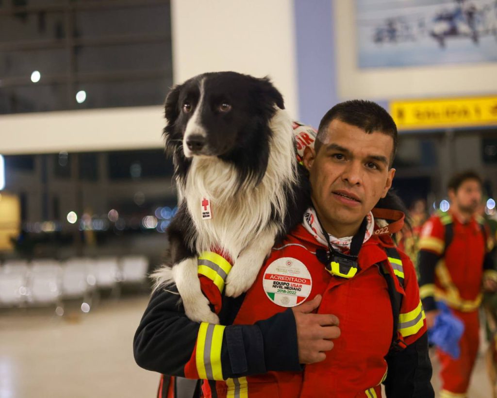 Van a Turquía 25 especialistas y 10 binomios canofilos.