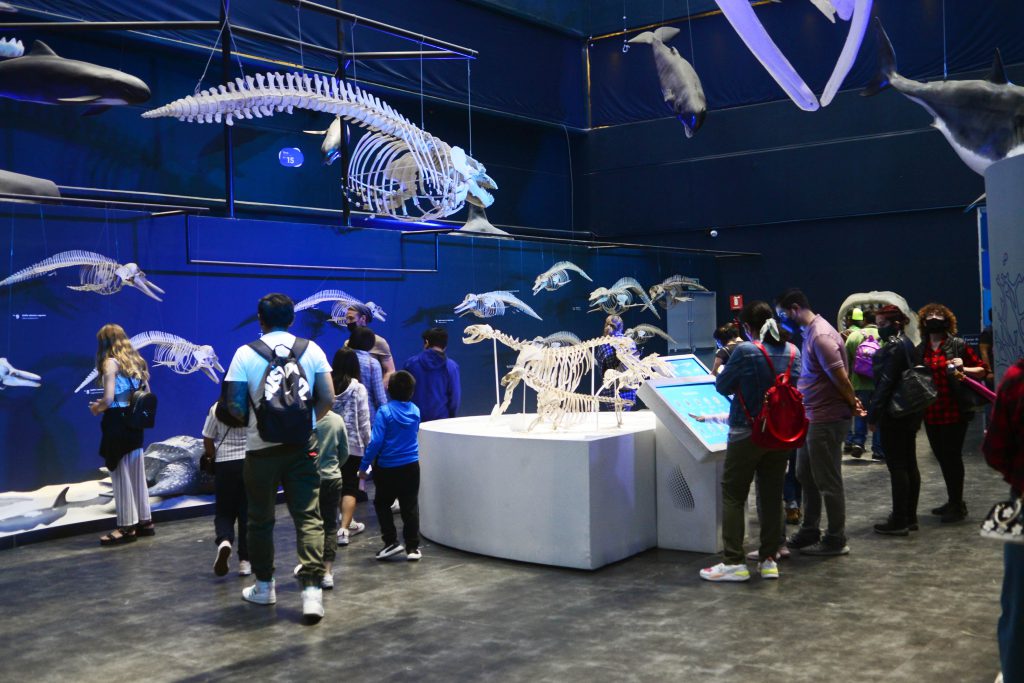 En distintos recintos y foros universitarios se podrá disfrutar de propuestas escénicas y musicales, así como de exposiciones.