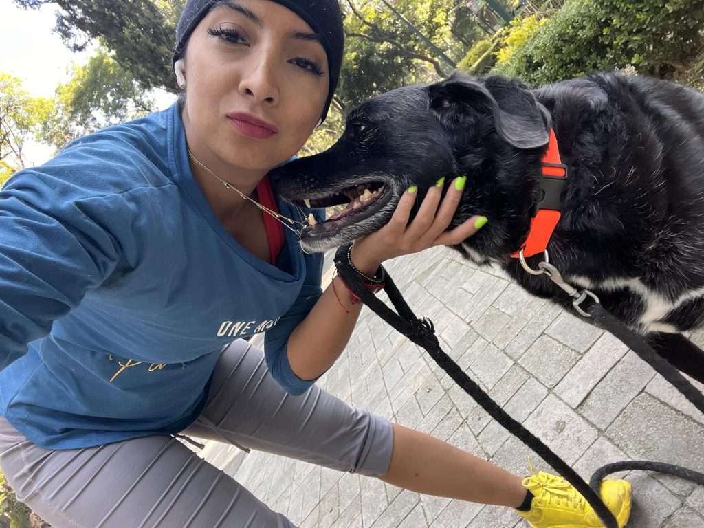 En México no existe un padrón real que contabilice la cantidad de felinos y caninos que se encuentran viviendo en las calles a causa de abandono, apuntó la diputada Ana Villagrán.