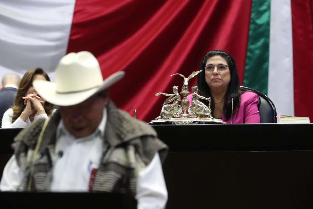 Marcela Guerra Castillo, presidenta de la Mesa Directiva de la Cámara de Diputados.