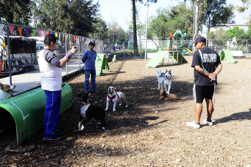 Las razas braquicéfalas -tipo pug, Boston terrier y bulldog inglés- responden a la mercadología, se han diseñado “a gusto humano”, agrega.