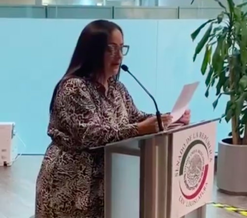 Directora general de la Conservaduría de Palacio Nacional y Patrimonio Cultural, Adriana Castillo Román.