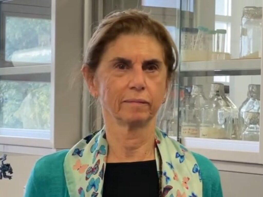 Annie Pardo Cemo, madre de Claudia Sheinbaum, presidenta electa de México.