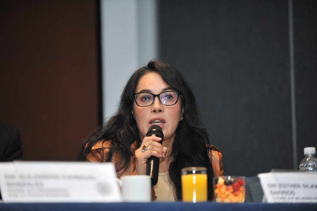 Silvia Sánchez Barrios, coordinadora de la Asociación Parlamentaria Mujeres por el Comercio Feminista e Incluyente.