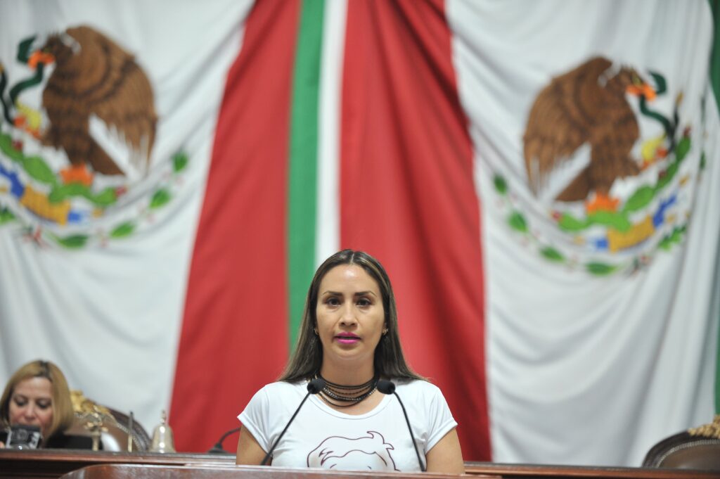 Indicó Ana Buendía que esta propuesta se presenta sin perjuicio de las responsabilidades penales, como la usurpación de identidad.