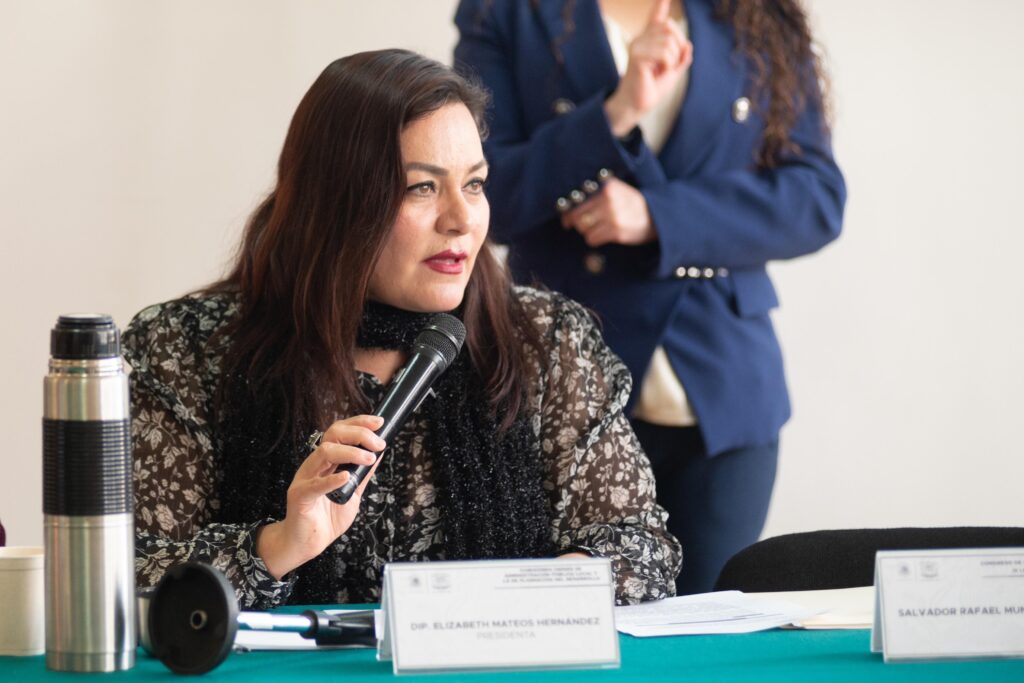 Hoy más que nunca es relevante que la selección del Comité de Selección para la titularidad del IPDP de la CDMX sea abierto y transparente: Elizabeth Mateos.