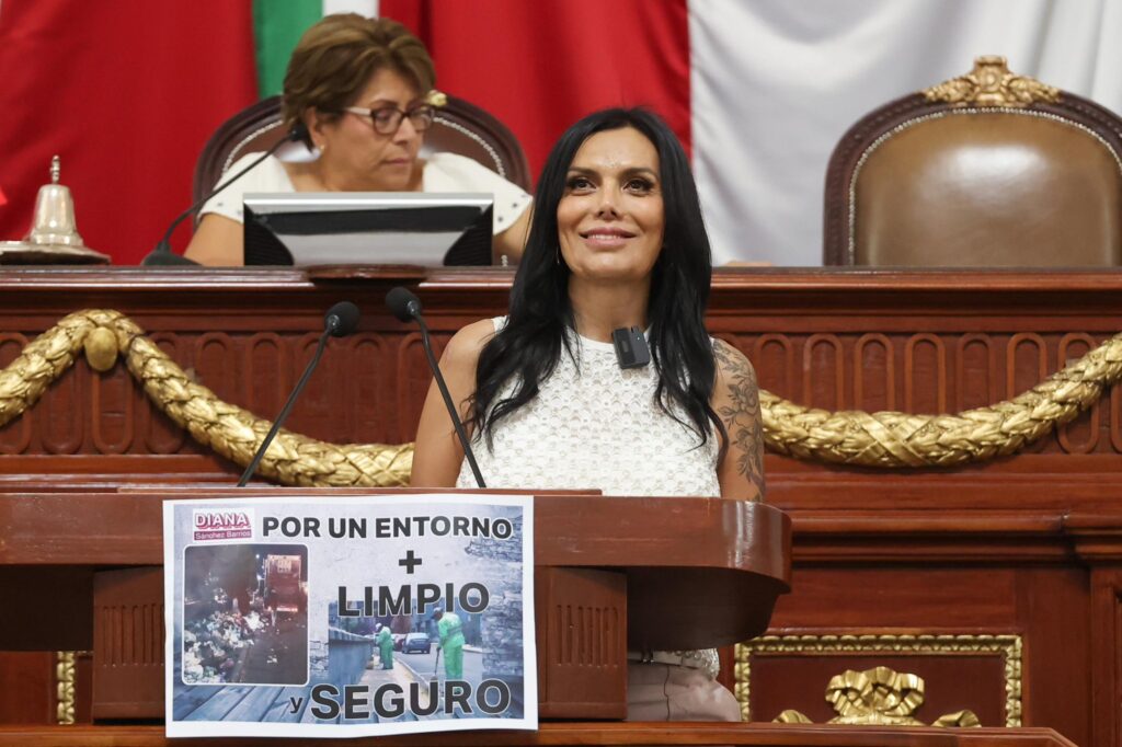 Diputada y coordinadora de la Asociación Parlamentaria Mujeres por el comercio Feminista e Incluyente, Diana Sánchez Barrios.
