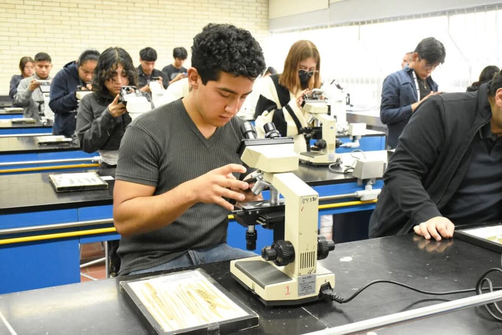 El primer semestre 2025-2026 del 11 de agosto y al 19 de diciembre de 2025: Universidad Autónoma de Chapingo.