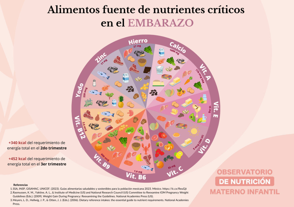 Una dieta equilibrada y consumir nutrientes como hierro, calcio, vitaminas A, C, D, E, B6, B9, B12, ácido fólico, yodo y zinc, favorece el desarrollo fetal y la salud infantil: Guadalupe López Rodríguez.