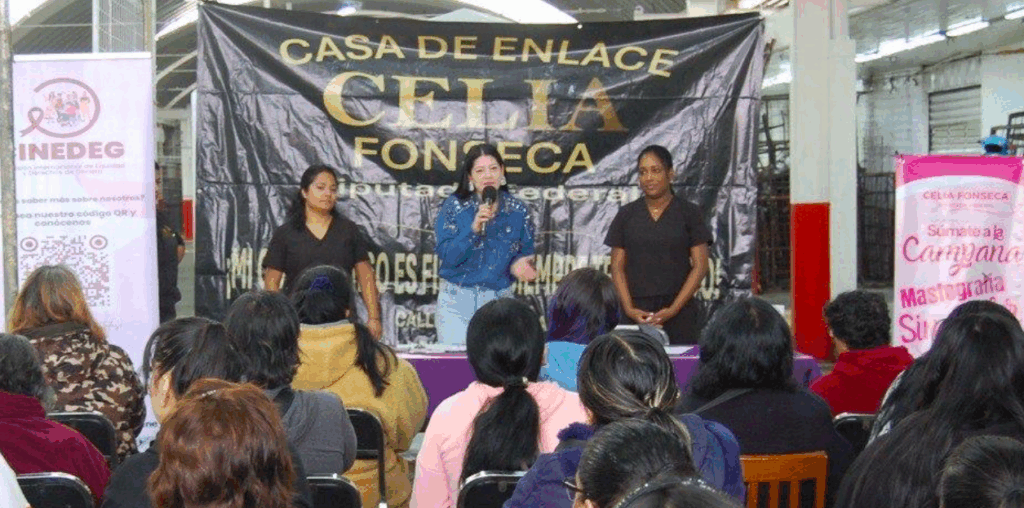 Una mastografía no debe ser un lujo para una mujer, es un derecho y se requiere que el gobierno la de gratis: Celia Fonseca