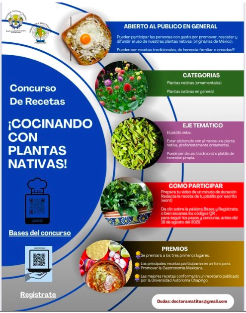 Podrán participar recetas tradicionales, de herencia familiar o creadas para el concurso. El platillo deberá estar elaborado con al menos una planta nativa, preferentemente ornamental.