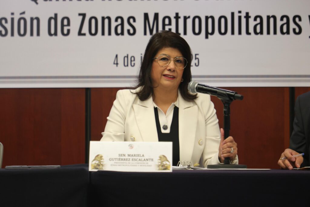 Se modificará la Ley General de Movilidad Vial en beneficio de personas con discapacidad: senadora Mariela Gutiérrez Escalante.