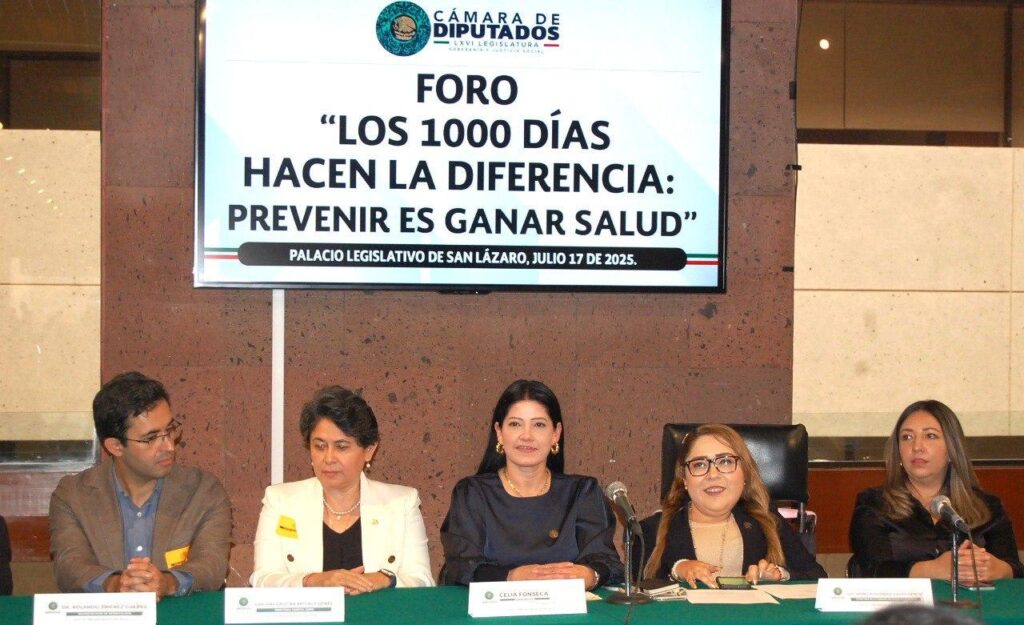 Urgente invertir para que población materno-infantil tenga servicios dignos de salud y reducir índices de mortalidad: Celia Fonseca.