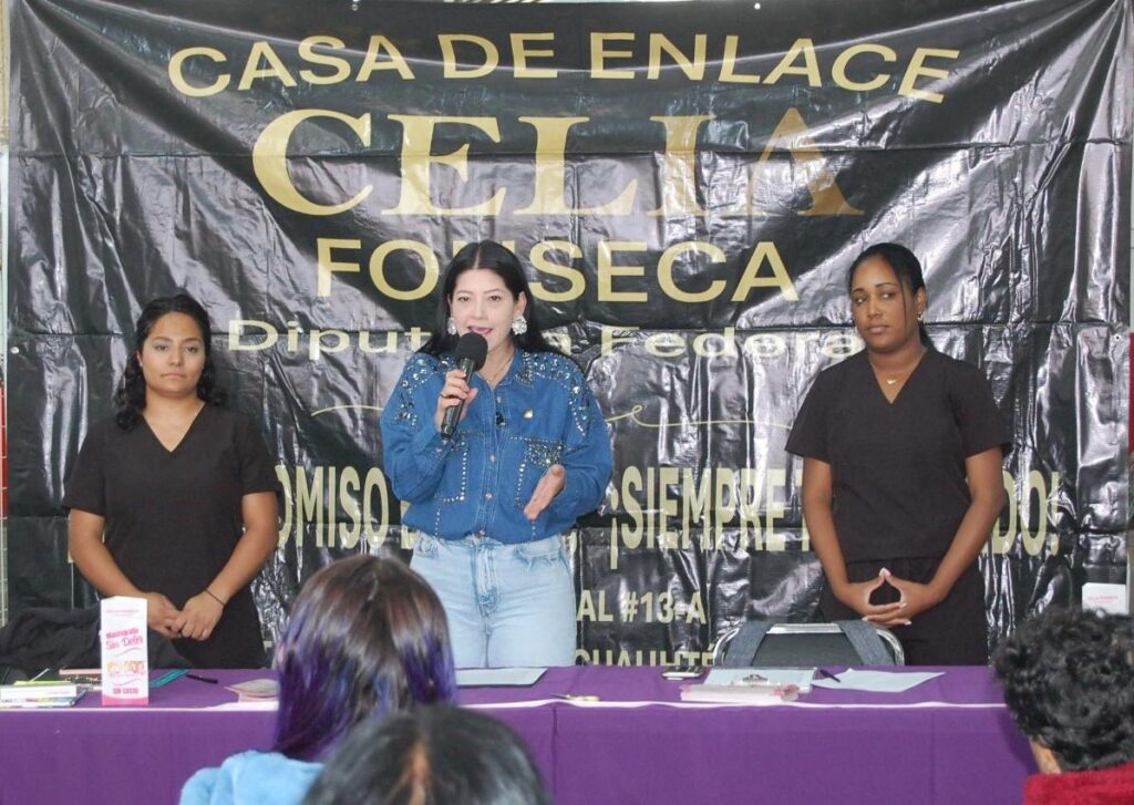 La Ciudad de México ocupa el sexto lugar con más personas con deficiencia visual: Celia Fonseca, legisladora federal.