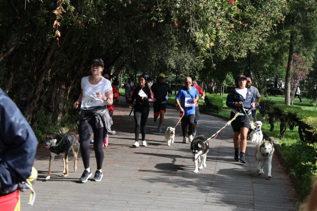 Sedema y Agatan realizan la carrera “Amar es Adoptar” en la alcaldía Coyoacán.