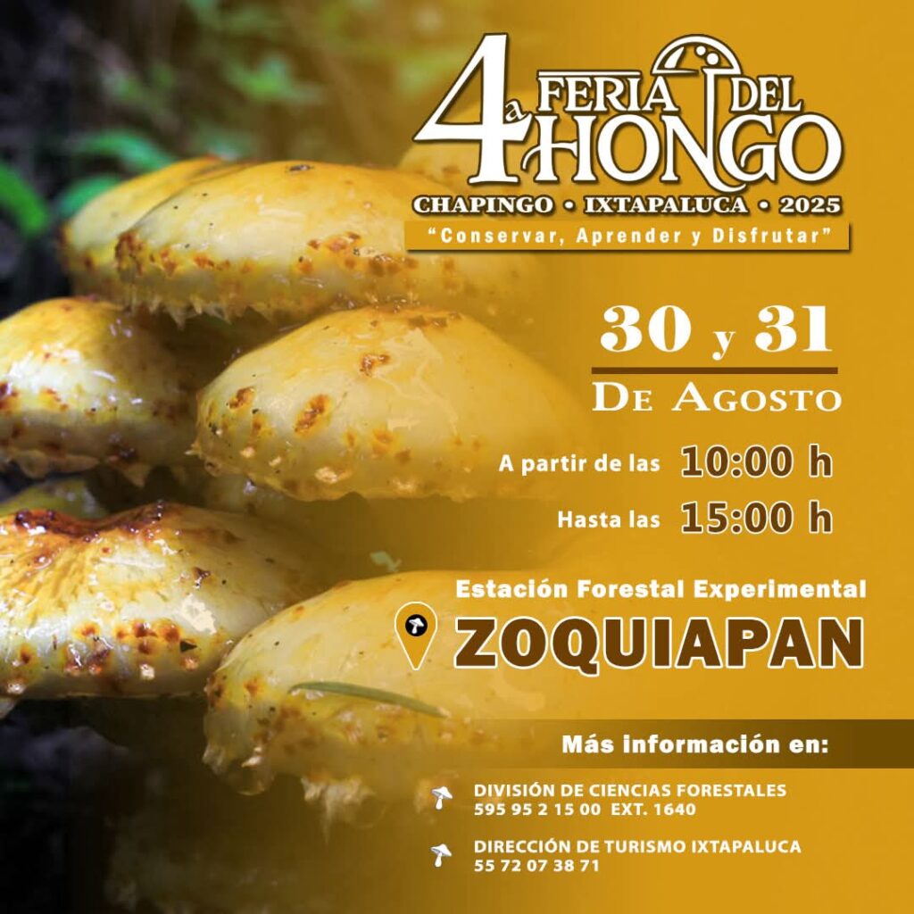 Los días 30 y 31 de agosto, en la Estación Forestal Experimental Zoquiapan . Se llevarán a cabo cuatro recorridos micológicos por día, con 20 personas por grupo.