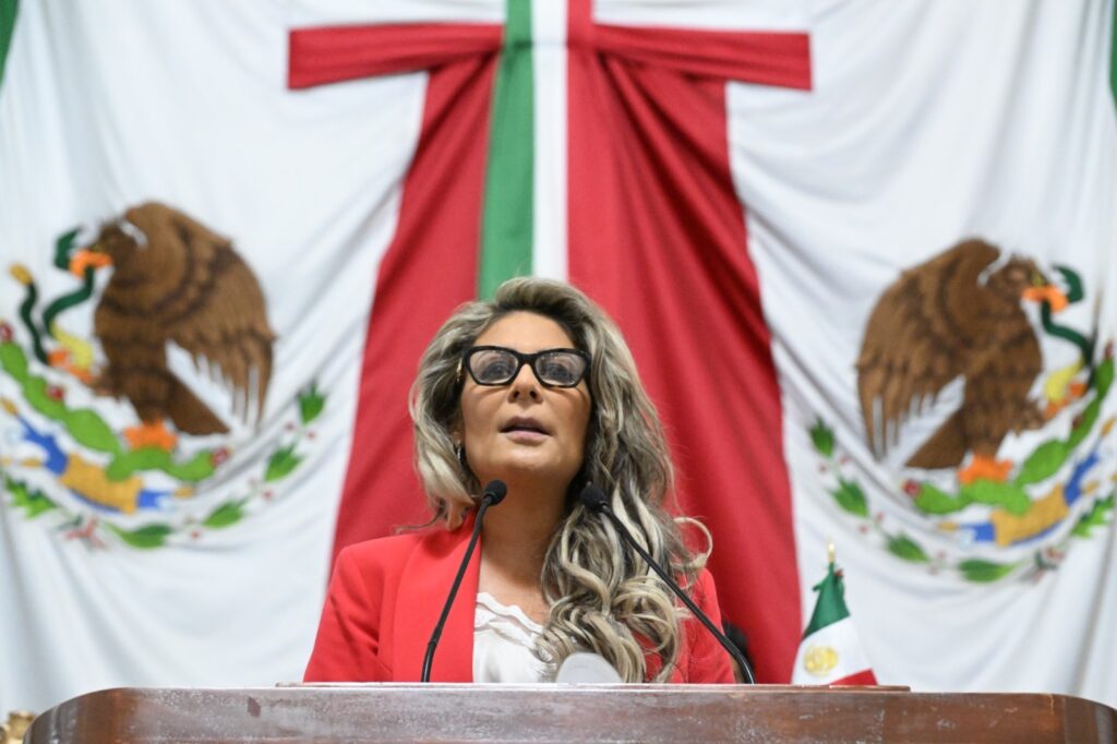 Al exponer su punto de acuerdo, la legisladora Arias Contreras expresó su preocupación de que después de dos exhortos del Congreso local para realizar esta auditoría.