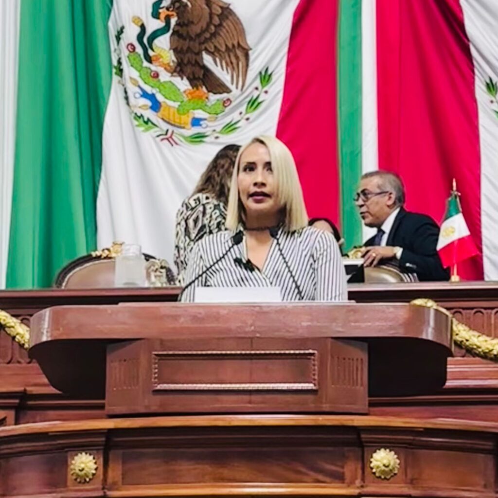 La diputada Ana Buendía García, propuso una iniciativa para reformar y adicionar diversas disposiciones al Código Penal para la Ciudad de México, que tipifica de manera clara y severa el robo de cable y otros elementos del equipamiento urbano del transporte público colectivo.