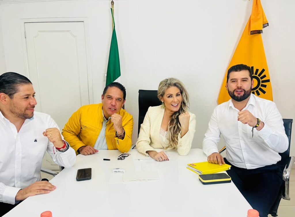 PRD inicia agenda de trabajo con visión progresista: Nora Arias.