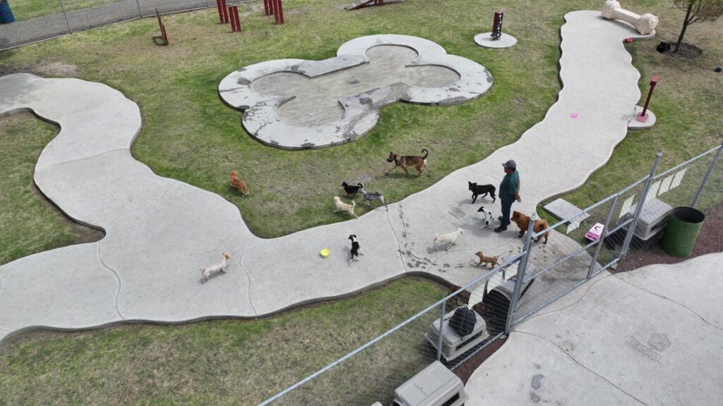 El Parque Canino de Tecámac tiene gran aceptación entre la población y es deleite de los lomitos que van a ejercitarse y pasear.