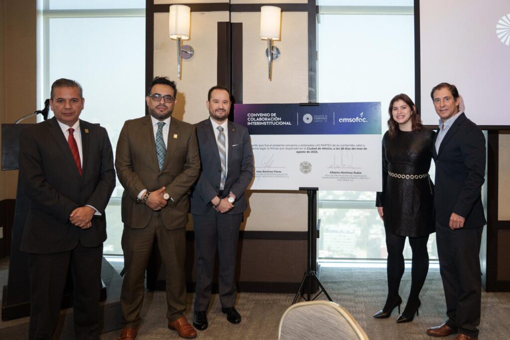 •	Alianzas para garantizar formación, innovación y profesionalización.