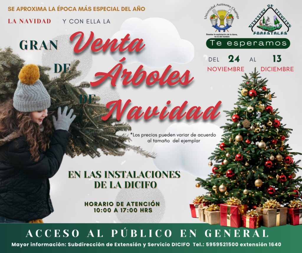 Una alternativa ecológica, renovable que apoya a las comunidades rurales y permite al estudiantado conocer el ciclo de producción forestal desde el establecimiento de plantaciones hasta la comercialización.