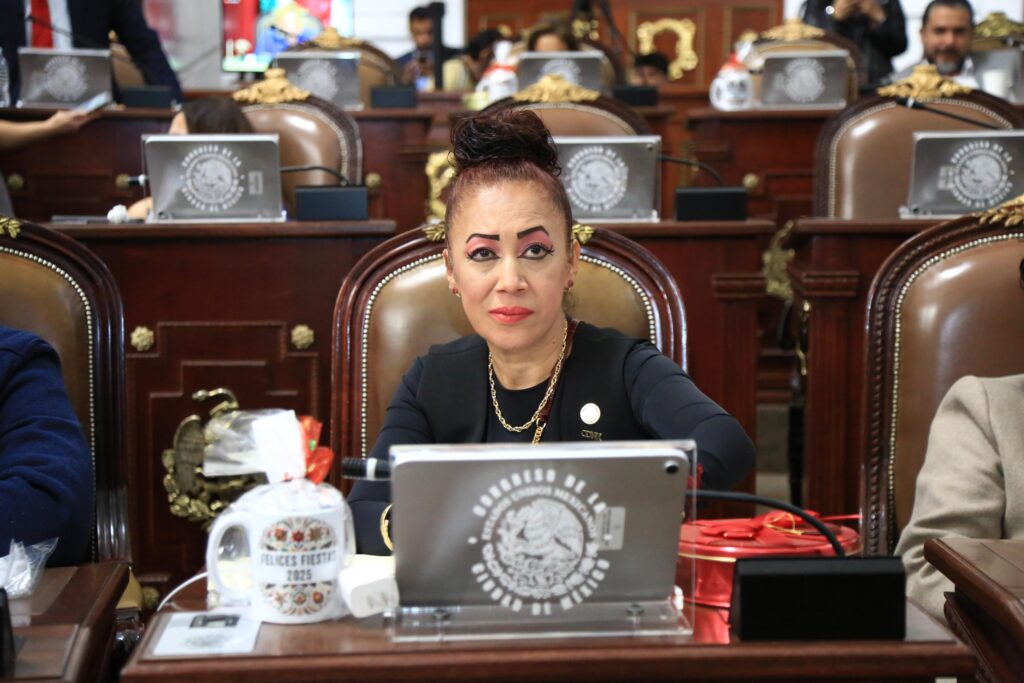 Ya se eligieron a las 66 personas que serán los diputados y diputadas en el Parlamento y quienes recibieron el curso introductorio para que, a través de iniciativas y puntos de acuerdo, presenten sus propuestas en materia cultural, afirma diputada Rebeca Peralta.