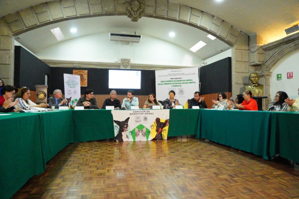 Tuvo lugar el Foro Temático 1 sobre los cinco dominios del bienestar animal: salud, ambiente, nutrición, estado mental y conducta.