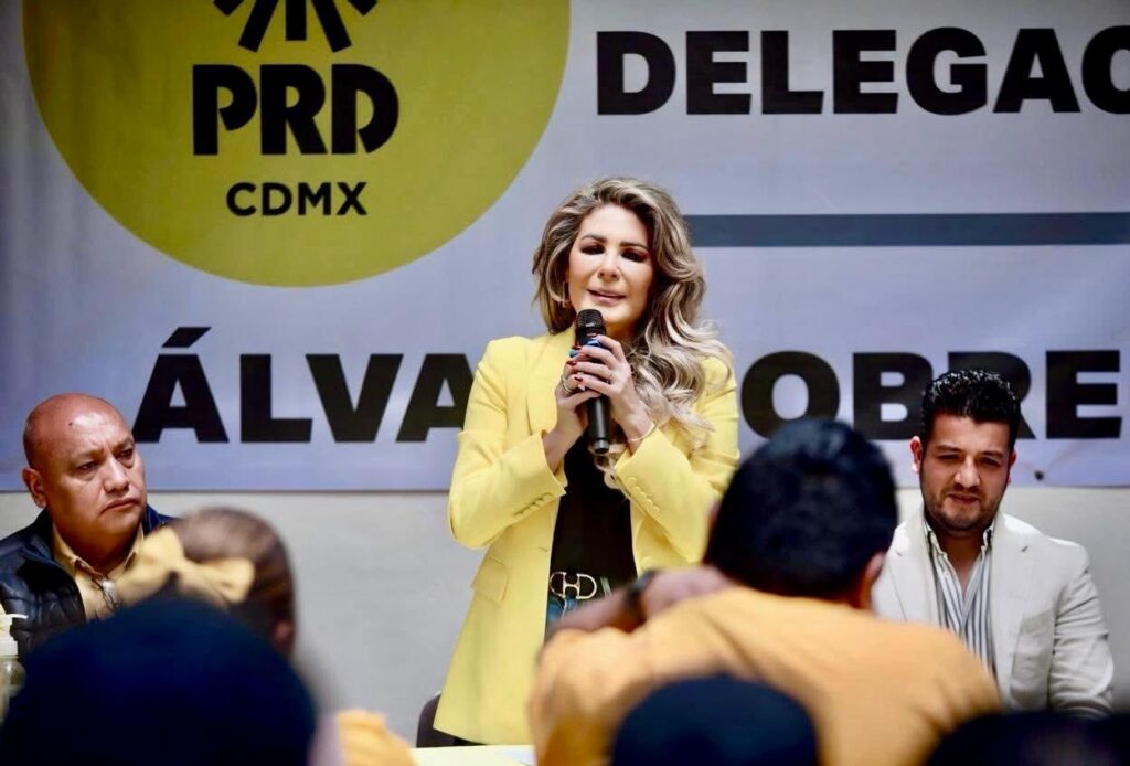 Requiere PRD CDMX liderazgo, lealtad y claridad política: Dip Nora Arias Contreras.