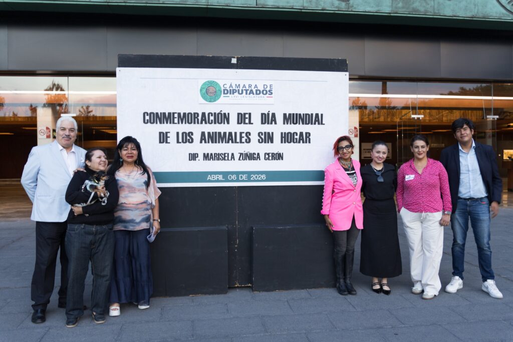 Acompañada de Ana J. Villagrán, directora de la Agencia de Atención Animal (Agatan) de la Ciudad de México, la legisladora federal, Marisela Zúñiga, planteó: Como mecanismo para la reflexión de los retos que aún enfrentamos para consolidar una ciudad y un país donde se respeten los derechos de los animales.