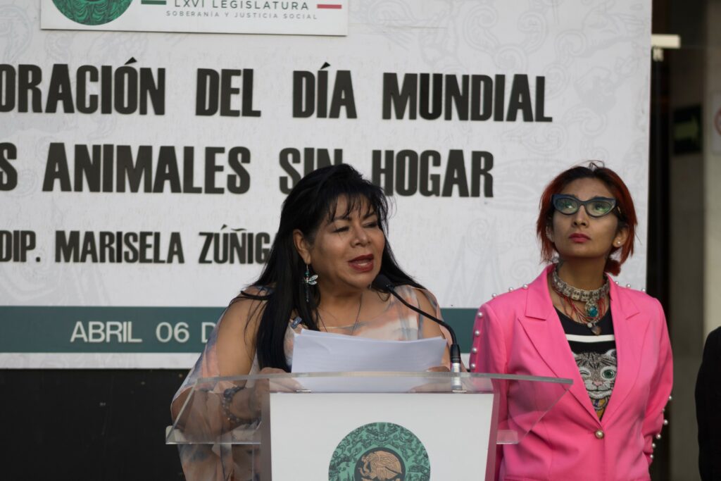 Llamado a fortalecer políticas públicas del bienestar animal: Marisela Zúñiga, diputada federal de la LXVI Legislatura de la Cámara de Diputados.