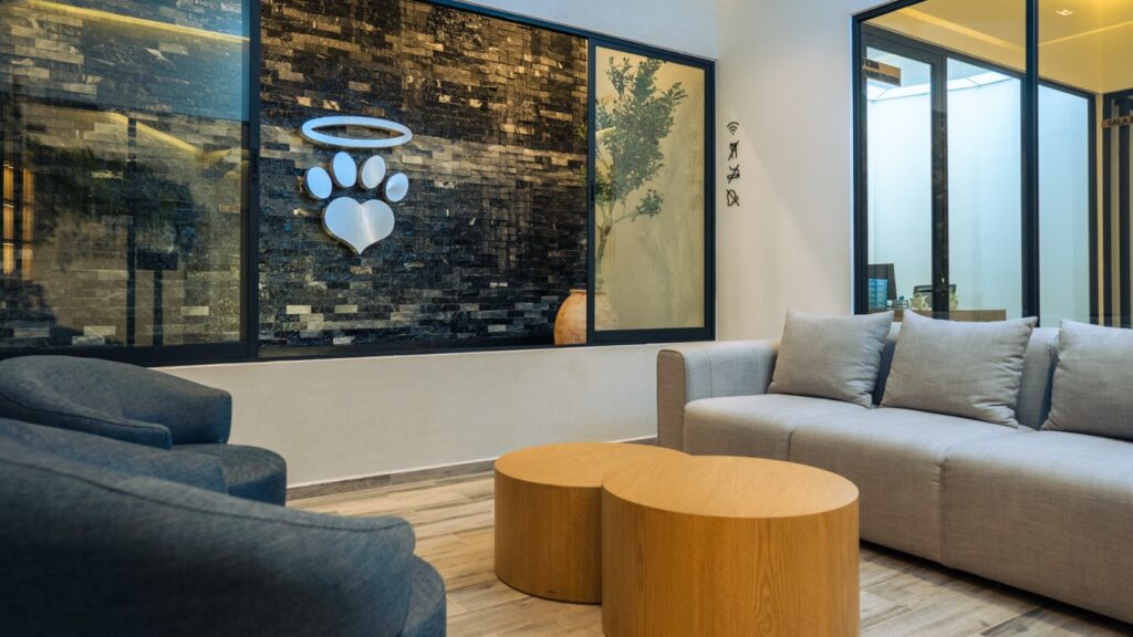 Mascotas y salud mental: el impacto emocional antes y después de su partida. Pets in the Sky.