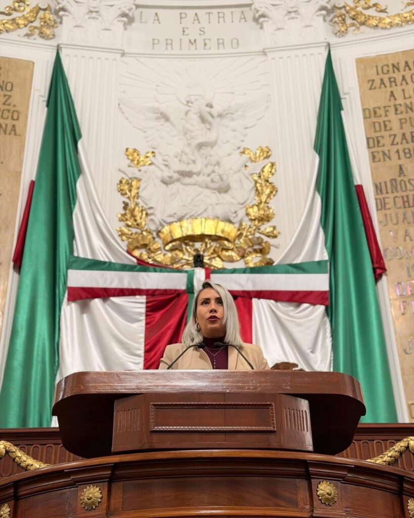 La diputada Ana Buendía García presentó la reforma que armoniza las legislaciones general y local. Se busca proteger a quienes más lo necesitan: comerciantes, familias y jóvenes que merecen vivir sin miedo.