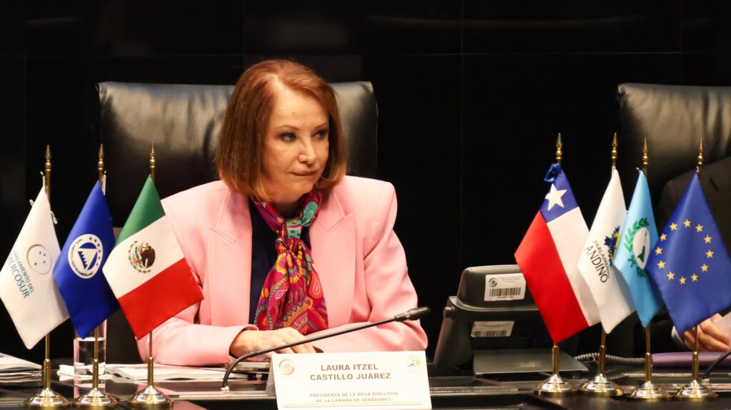 Ante cambios globales profundos y nuevas demandas sociales, es indispensable el multilateralismo: Laura Itzel Castillo Juárez.