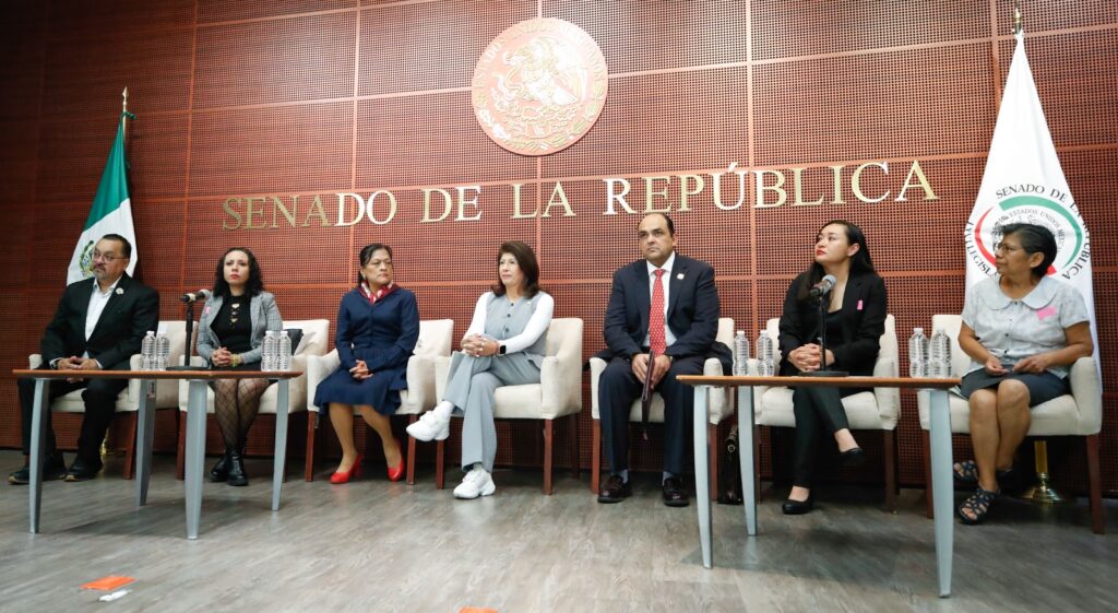 Considera, la senadora Mariela Gutiérrez, que proteger los derechos de los futbolistas no implica limitar este deporte; alertan especialistas sobre posible explotación de menores.
