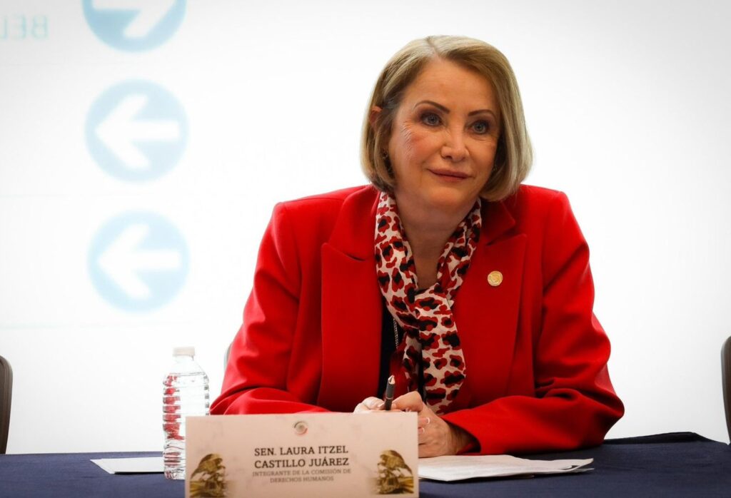 La Presidenta de México, Claudia Sheinbaum, adelantó que será Laura Itzel Castillo la titular de la Secretaría de las Mujeres.