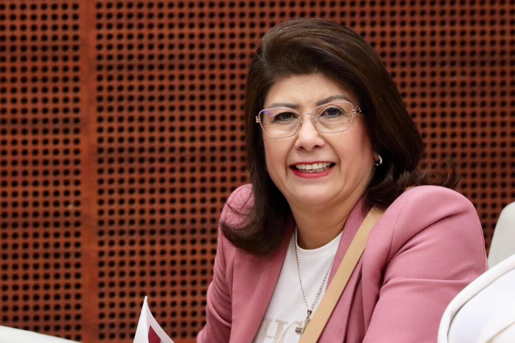 Abundan toneladas de cableado inservible en la vía pública, alerta la senadora Mariela Gutiérrez.