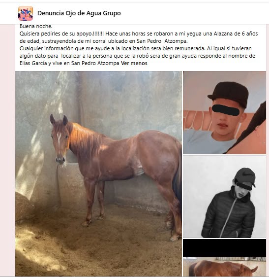 Va a galope la inseguridad en el municipio, mientras la alcaldesa Rosi Wong presume “baja” en el índice delictivo.