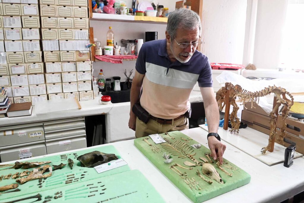 Aunque es reactivo como los lobos, Calupoh se siente a gusto con las personas que considera parte de su manada, subrayó Valadez Azúa.