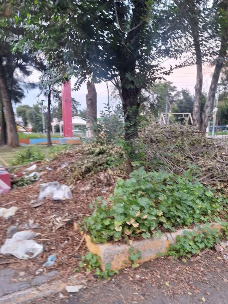 Vecinos de la primera sección de Aragón acusan tala indiscriminada de árboles, con la finalidad de construir un parque “Jardín del Edén”, donde no es necesario.