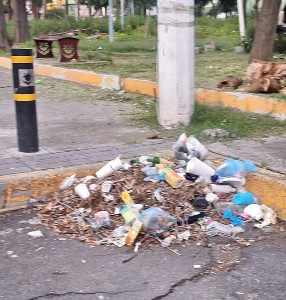 “Sería una afectación tremenda este proyecto innecesario, en un área verde que es de utilidad para los vecinos”, aseguraron.
