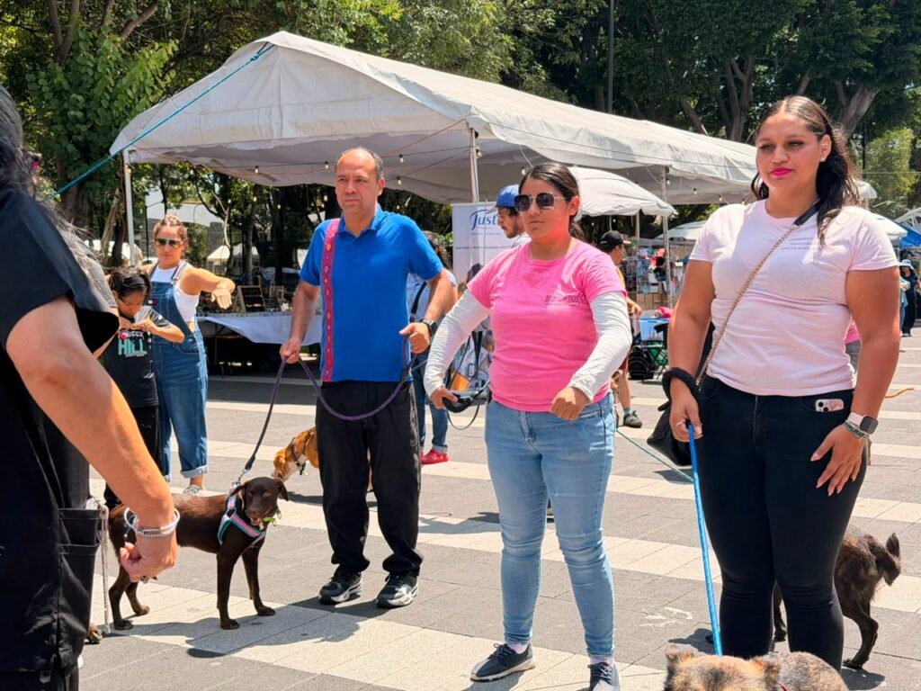 Alejandro Robles agradece la solidaridad del pueblo estadounidense con México. Acude a jornada de Bienestar Animal en la Alameda del Sur.