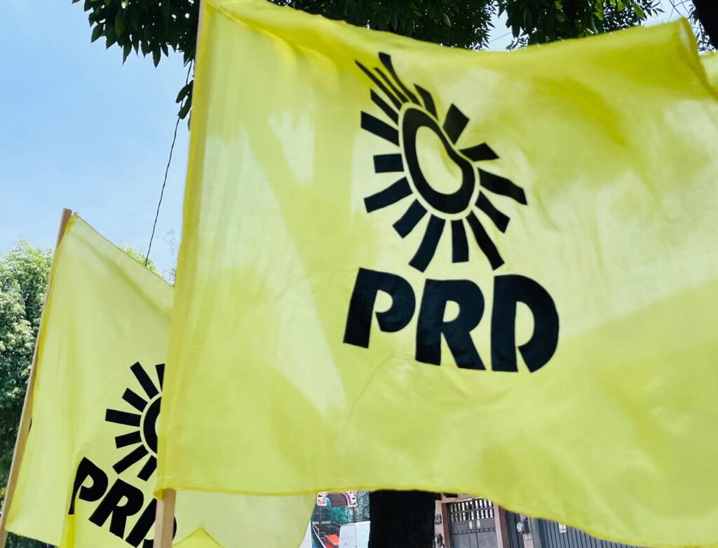 Lobo incurrió en nepotismo e injerencia en otro partido; su grupo había sido expulsado del PRD, y tiene denuncias por despojo.
