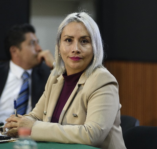 La diputada Ana Buendía explicó que esta normatividad debe implementarse en un futuro cercano para que no se quede sólo en el papel, acumulando polvo en los archivos del Congreso.